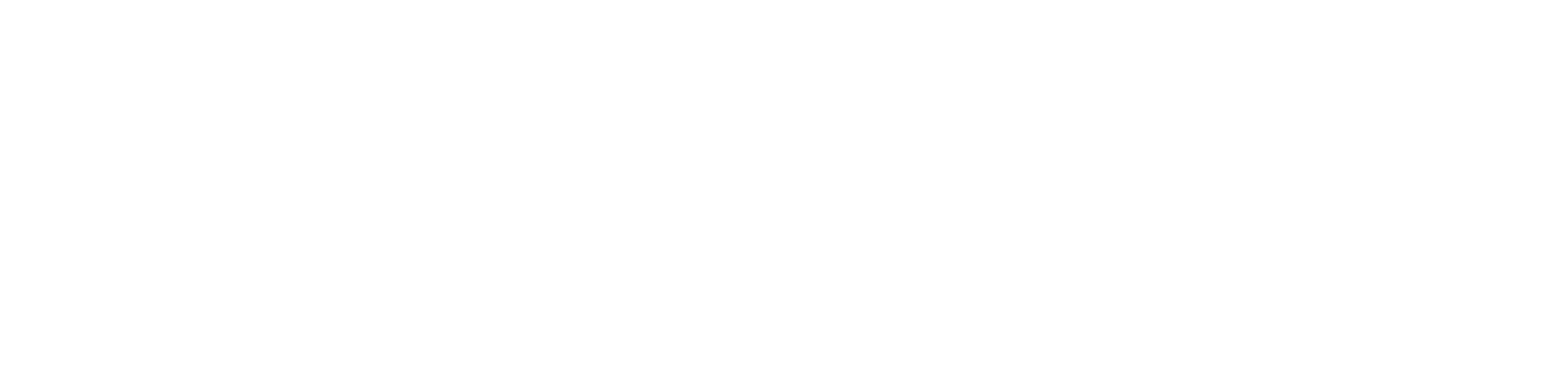 230109_logo_HAANS_wit (1)